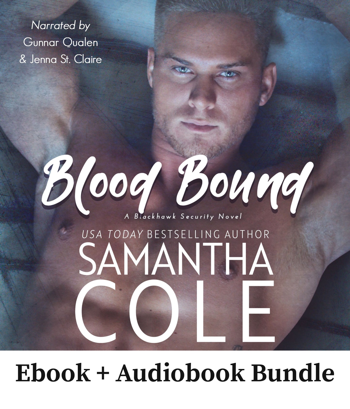 Blood Bound: Blackhawk Security Book 2