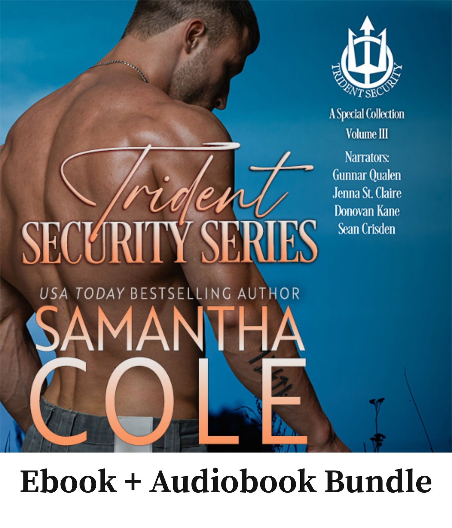 Trident Security Series: A Special Collection Volume III
