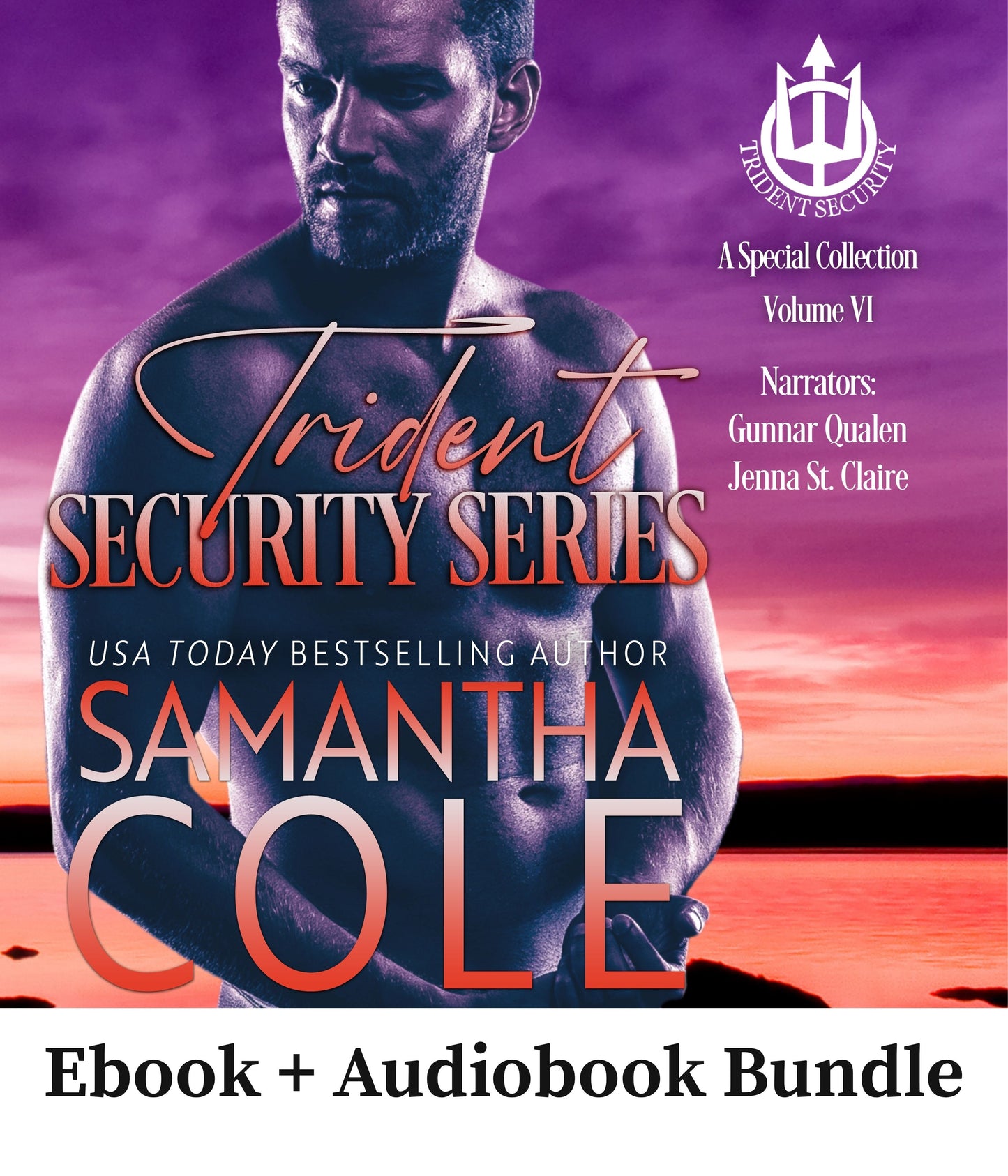 Trident Security Series: A Special Collection Volume VI