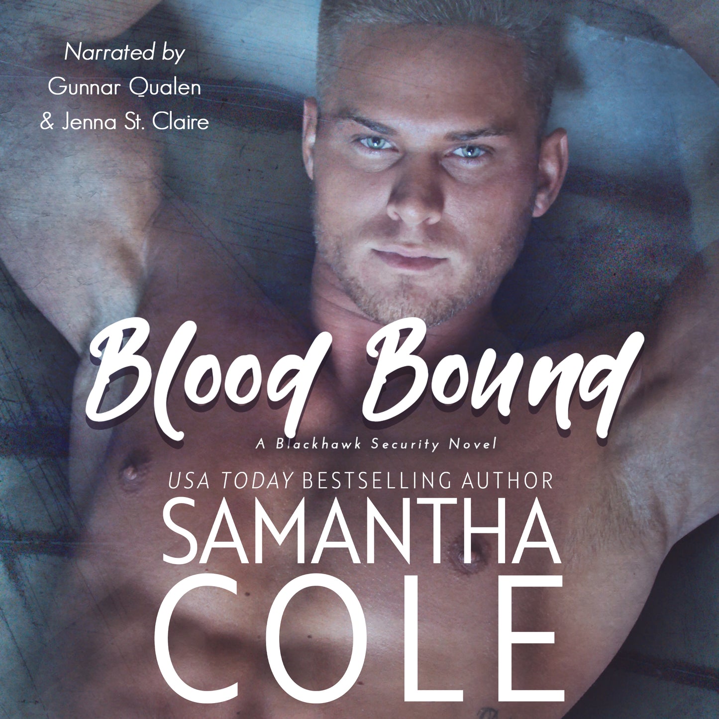Blood Bound: Blackhawk Security Book 2 - Audiobook