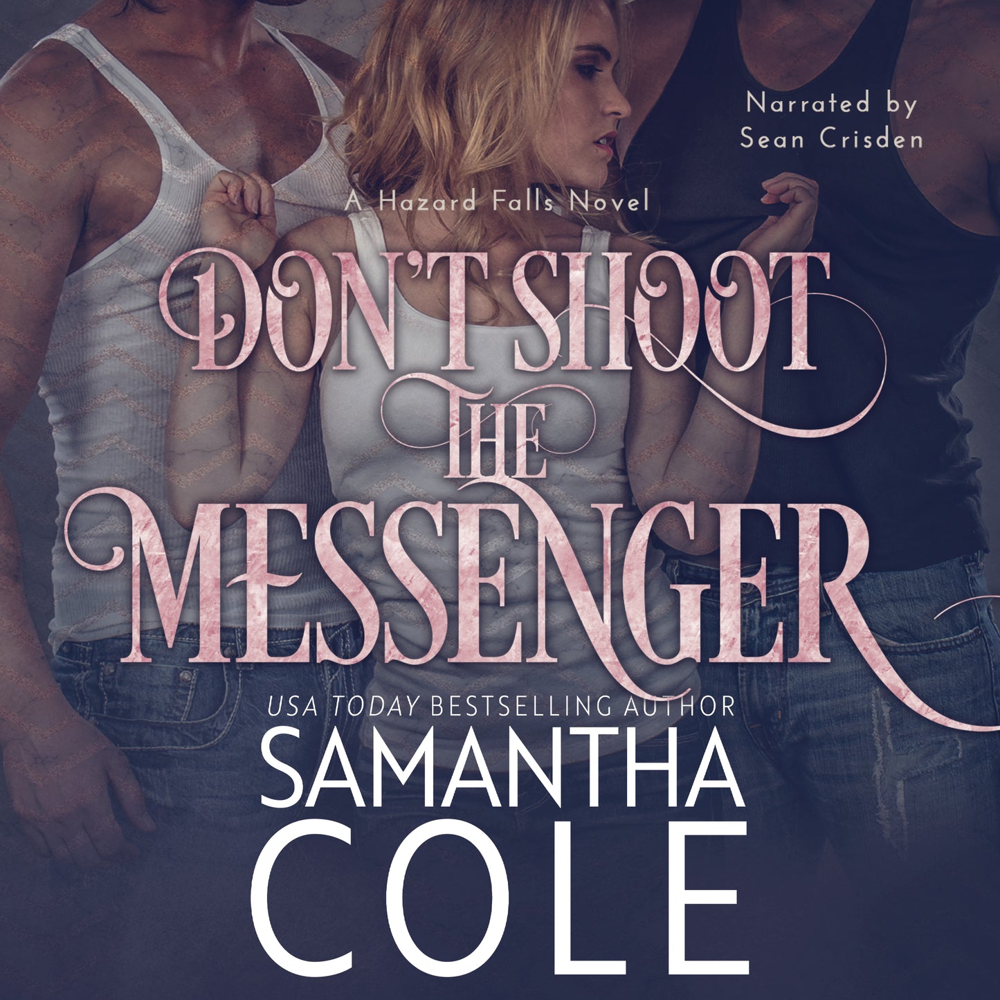 Don't Shoot the Messenger: Hazard Falls Book 2 - Audiobook