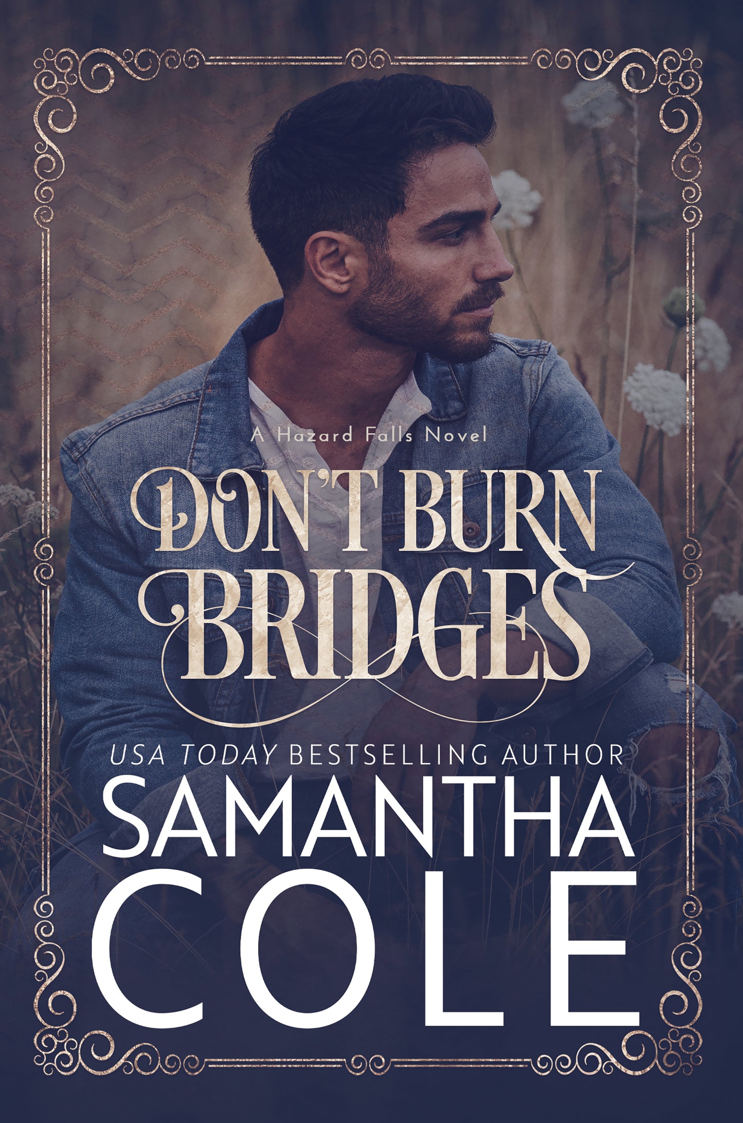 Don't Burn Bridges: Hazard Falls Book 3