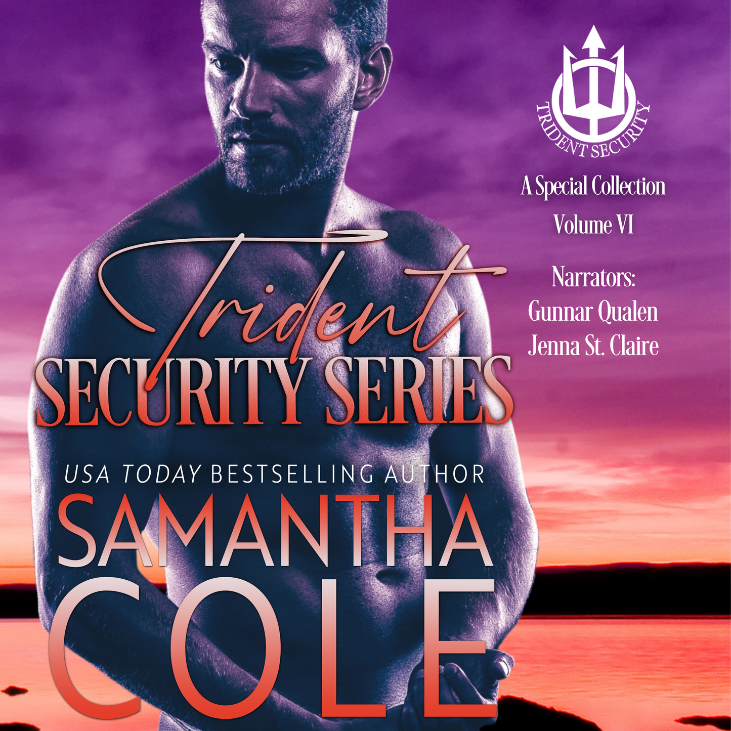 Trident Security Series: A Special Collection Volume VI: Audiobook