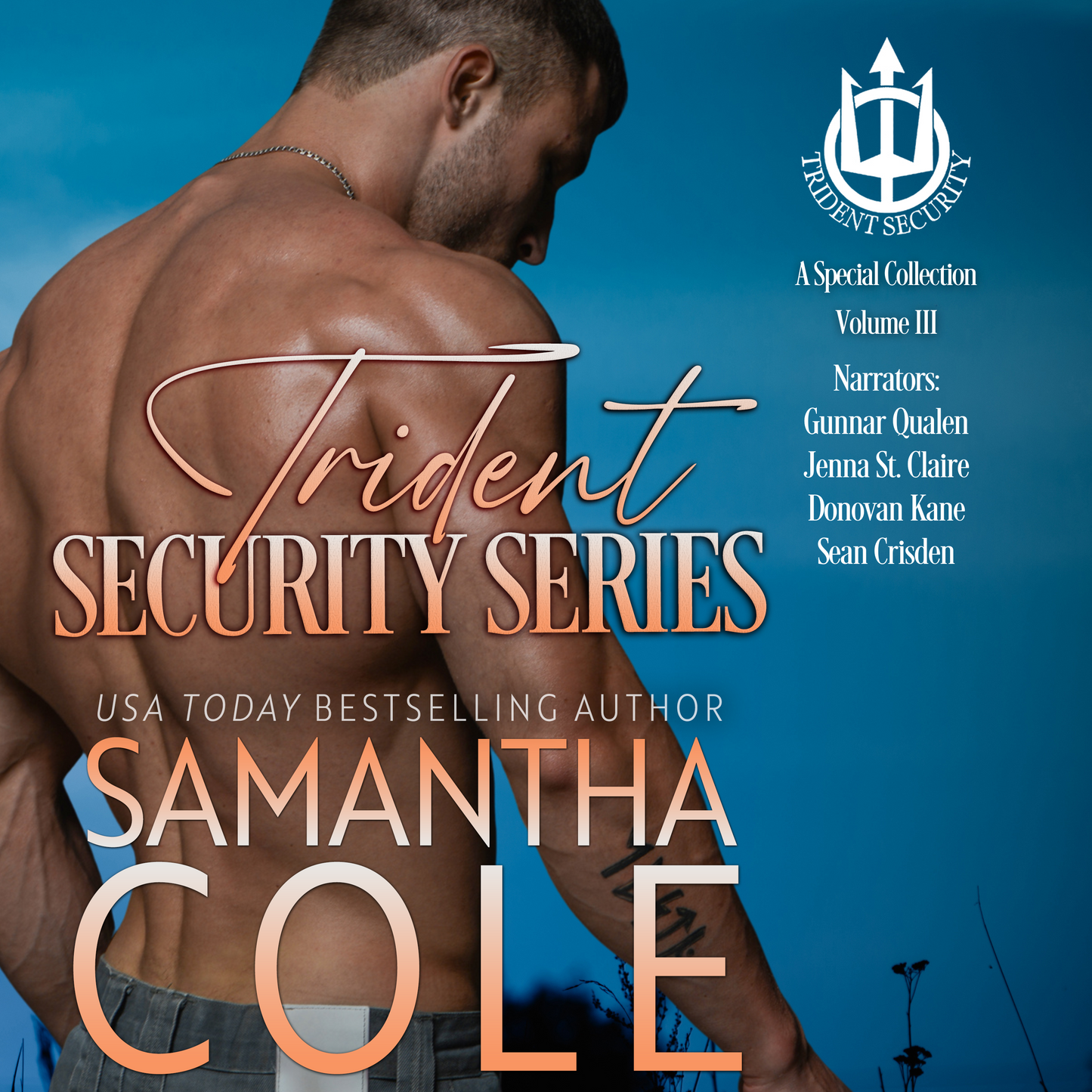 Trident Security Series: A Special Collection Volume III