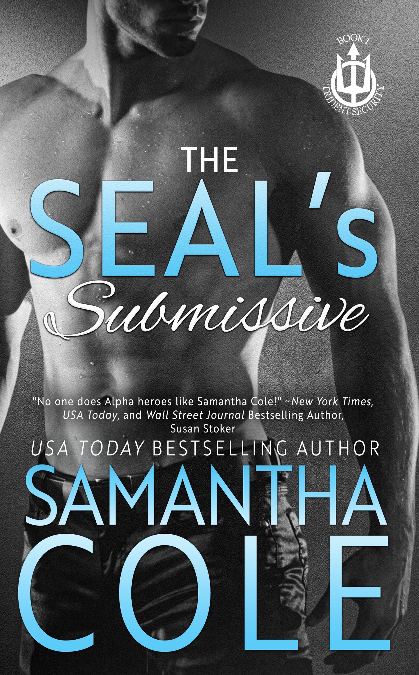 The SEAL's Submissive: Trident Security Book 1