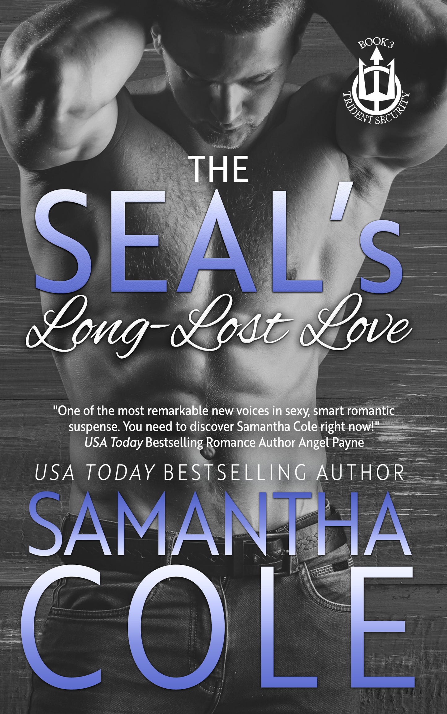 The SEAL's Long-Lost Love: Trident Security Book 3
