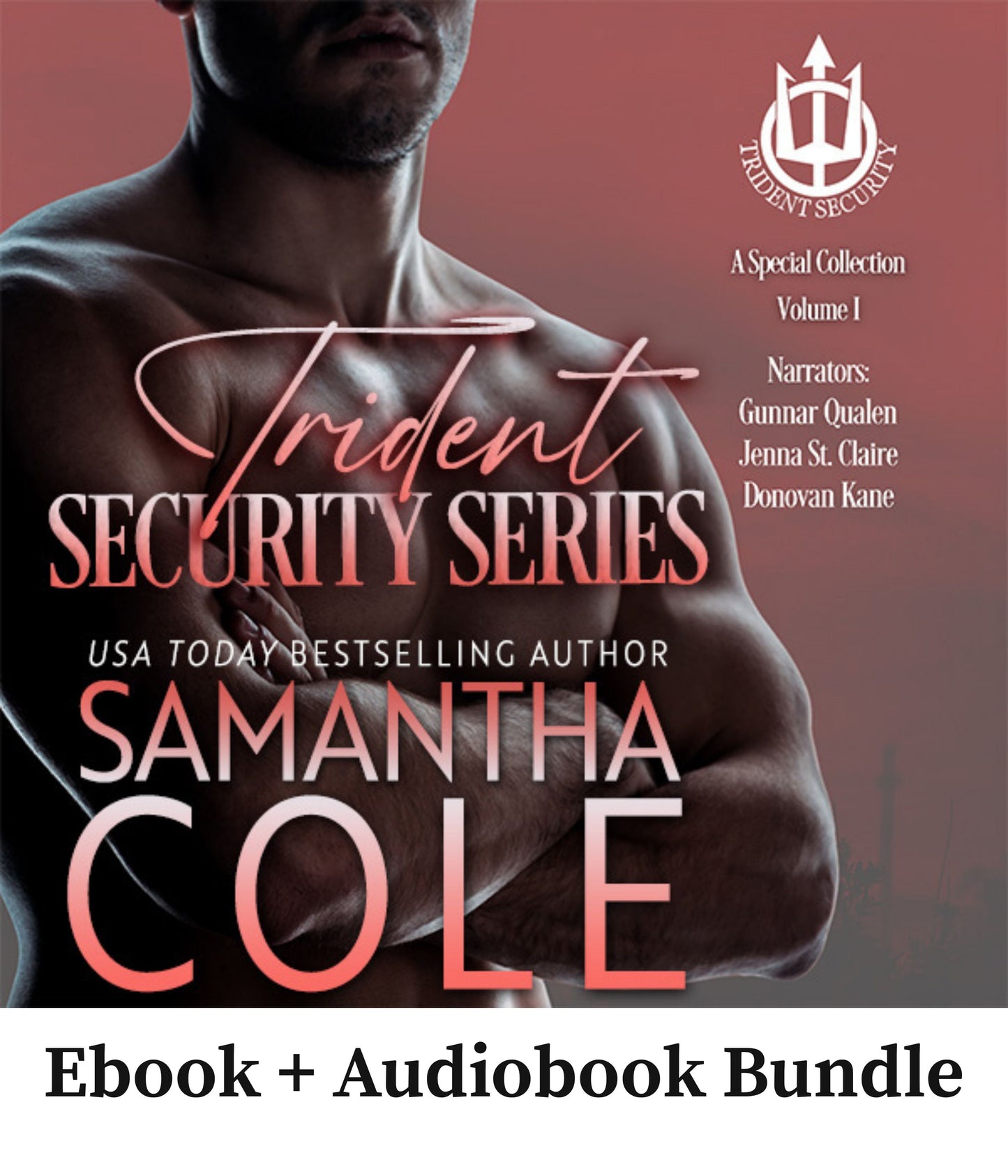 Trident Security Series: A Special Collection Volume I