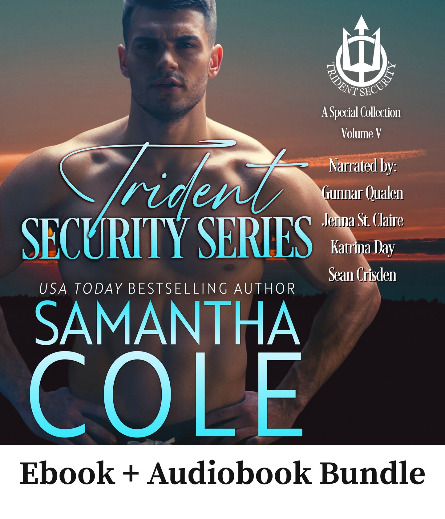 Trident Security Series: A Special Collection Volume V
