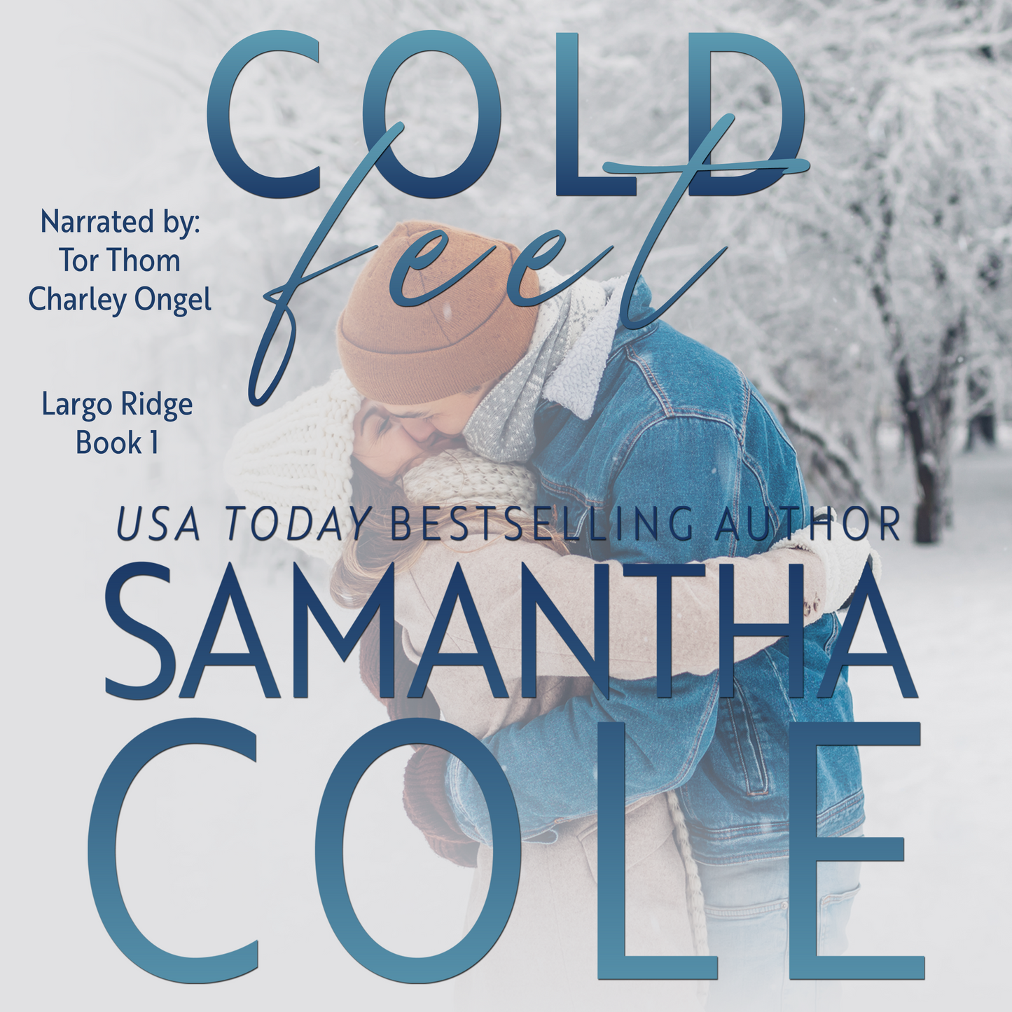 Cold Feet: Largo Ridge Book 1