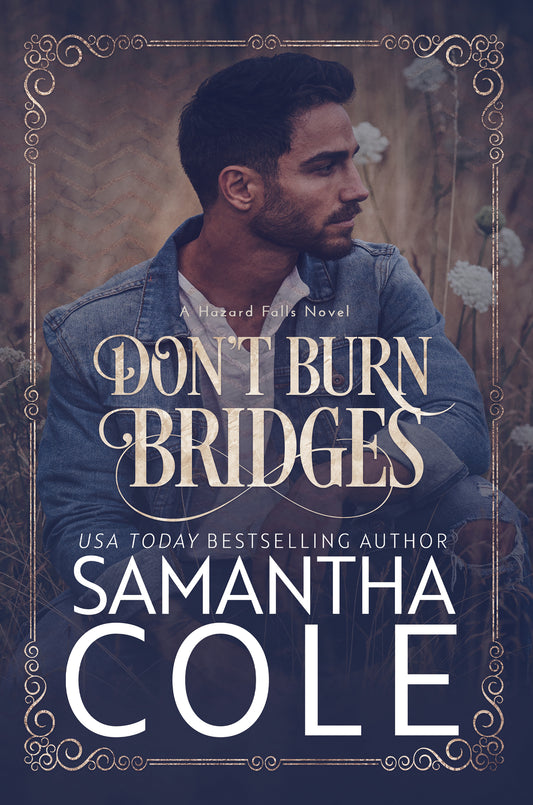 Don't Burn Bridges: Hazard Falls Book 3