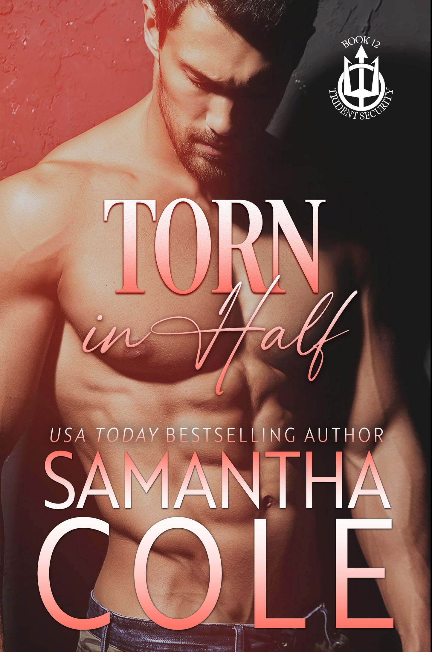 Torn in Half: Trident Security Book 12