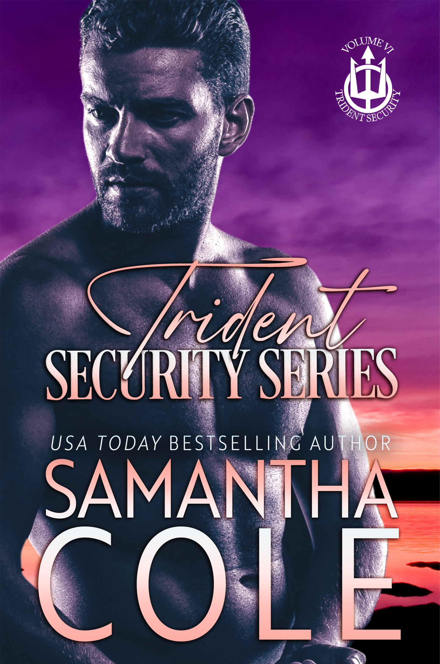 Trident Security Series: A Special Collection Volume VI
