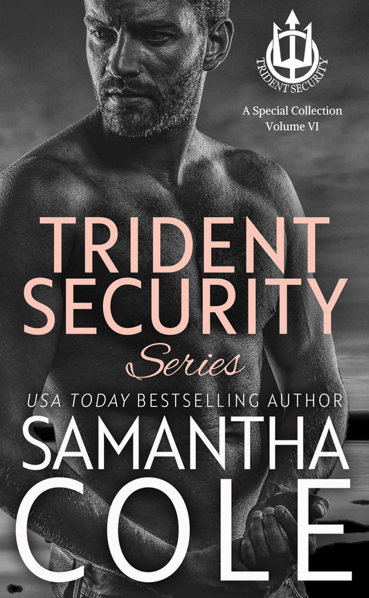 Trident Security Series: A Special Collection Volume VI