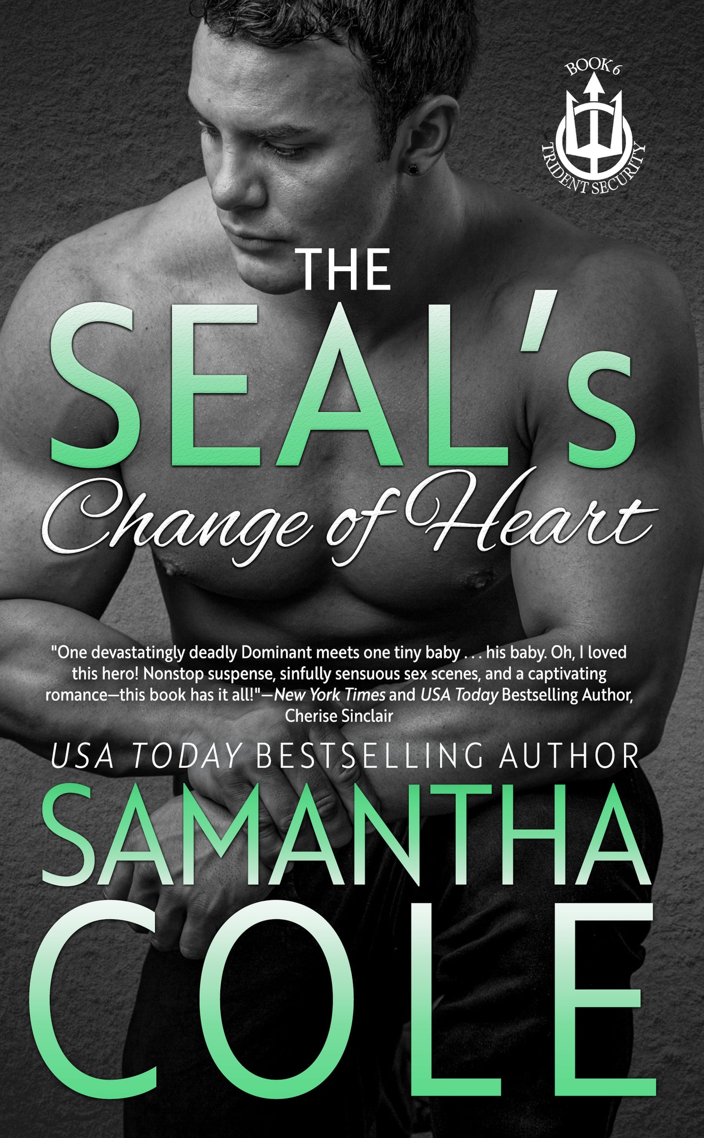The SEAL's Change of Heart: Trident Security Book 6