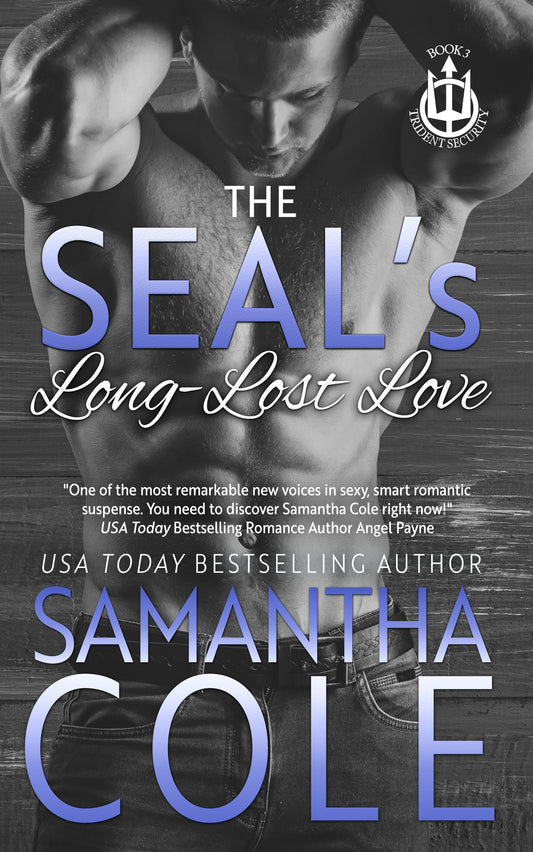 The SEAL's Long-Lost Love: Trident Security Book 3